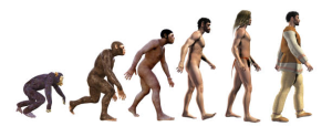 Почему популяция является элементарной единицей эволюции